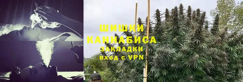 Шишки марихуана White Widow  блэк спрут вход  Малгобек 